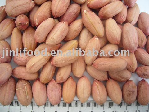 peanut  kernels