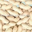 peanuts