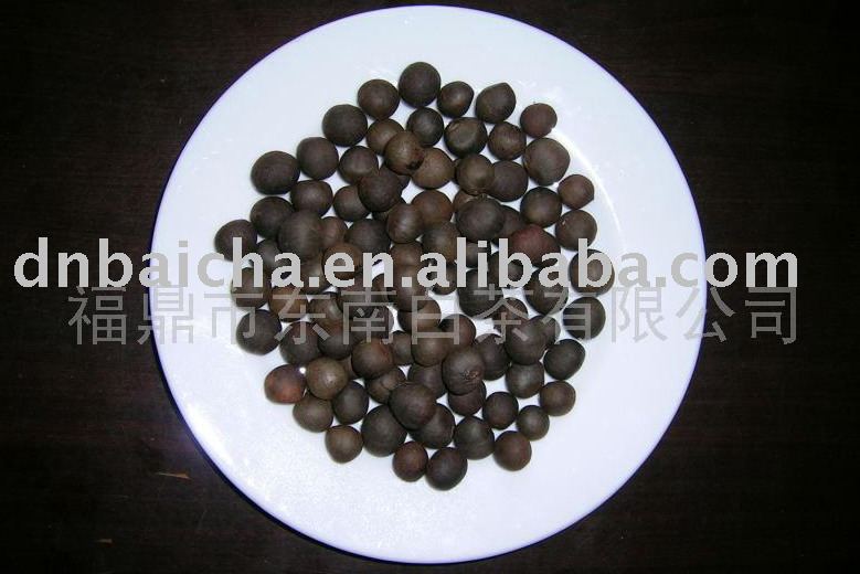  white   tea   seed 