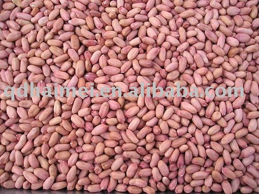 2010 raw red peanut