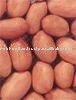 peanut kernel