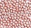 High quality round shaped peanut kernels