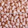Chinese round type peanut kernels