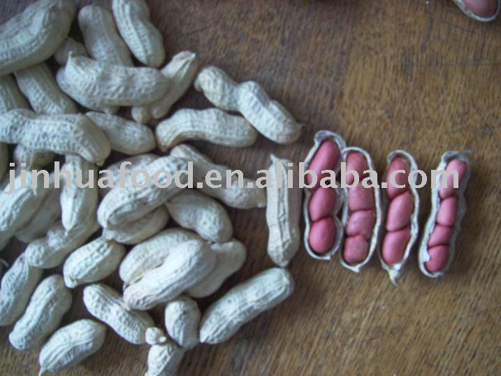 Redskin Peanut ih shells