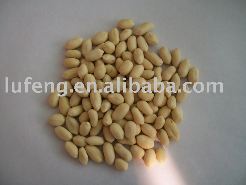 Shandong Blanched Kernel