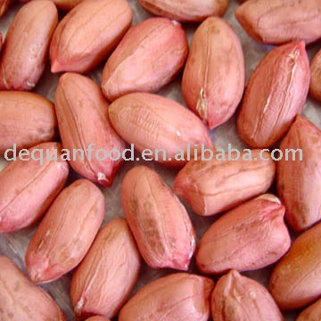 new crop Peanut kernels