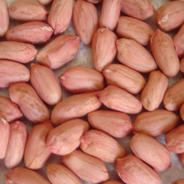 Peanuts