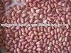 peanut kernel