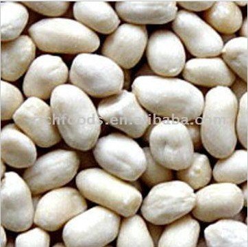 blanched peanut kernels