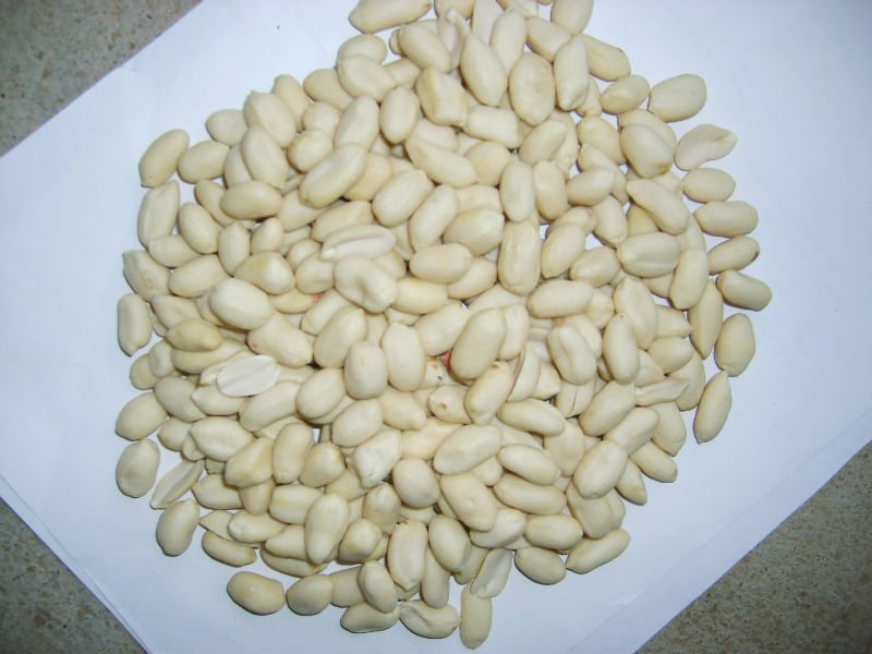blanched peanut(long shape)
