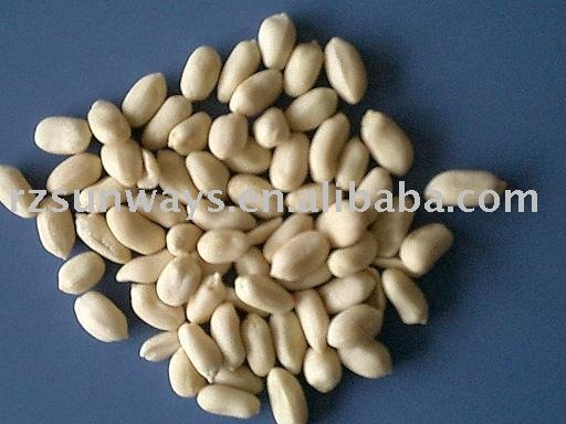BLANCHED PEANUT KERNELS