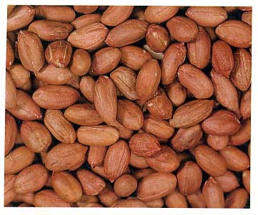 peanut