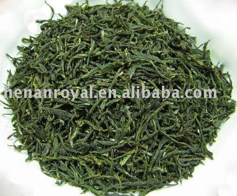 2010 New crop best Xinyang maojian tea