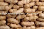Indian Gorundnuts