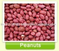Peanut