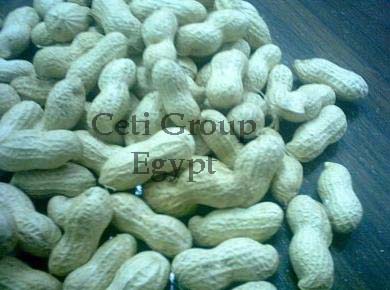 peanut