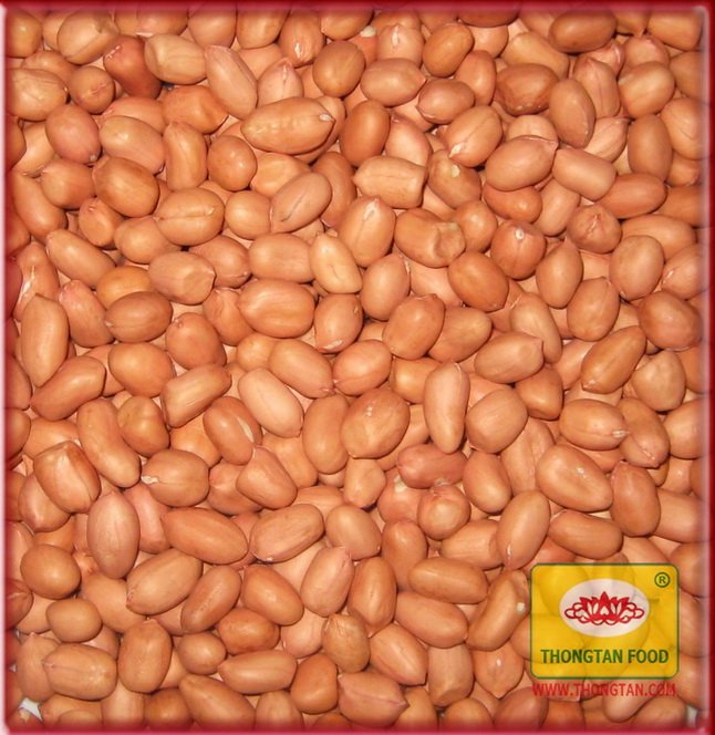 Peanut Kernel