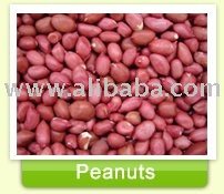 Peanuts