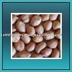 Groundnut Rosted With Lodized