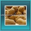 GROUNDNUT KERNEL