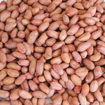 Indian Peanut