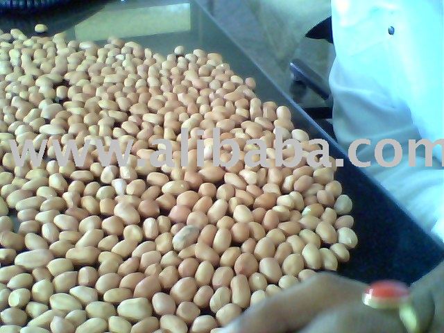 GROUNDNUT