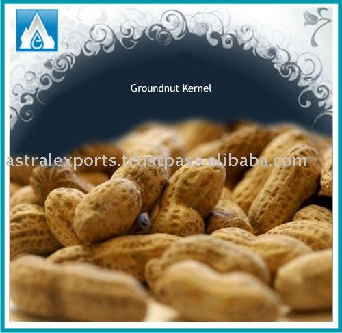 Groundnut