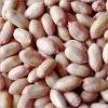 GROUNDNUTS,HAZELNUTS,WALNUTS,PISTACHIO NUTS ALL AVAILABLE FOR SALE