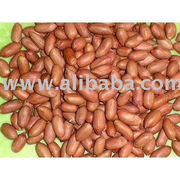 SELL ROASTED PEANUT KERNELS