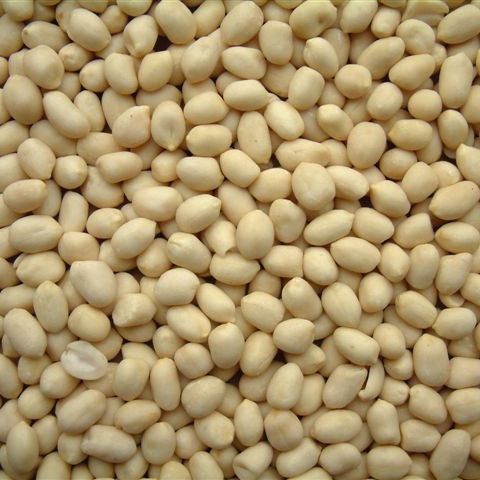 peanuts