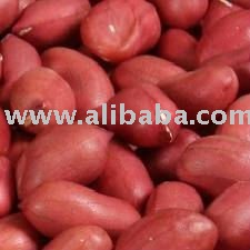 best quality  red  pea nut ready for export