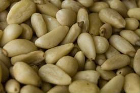 Shelled Pine Nuts Fava Or Broad Beans Hyacinth Bean Lablab Lentils Lupins Peanuts Pigeon Peas Products Malaysia Shelled Pine Nuts Fava Or Broad Beans Hyacinth Bean Lablab Lentils Lupins Peanuts Pigeon Peas Supplier