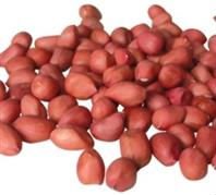 REDSKIN PEANUTS , RAW