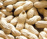 Ground nuts paraffin wax, candle wax, palm wax,palm wax, paraffin wax, bee wax,petroleum products
