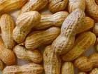 peanut