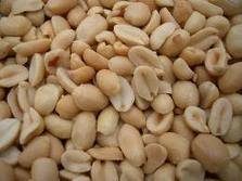 High quality Peanut for sale
