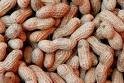 Quality Preserved Peanuts