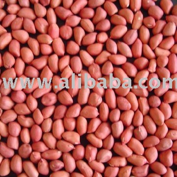 Dried Raw Peanuts $150-$220 per mt CIF