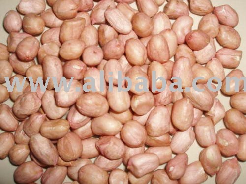 Dried Raw Rounded  Peanuts $150-$220 per mt CIF