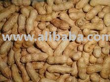 Peanuts of 2011 harvest