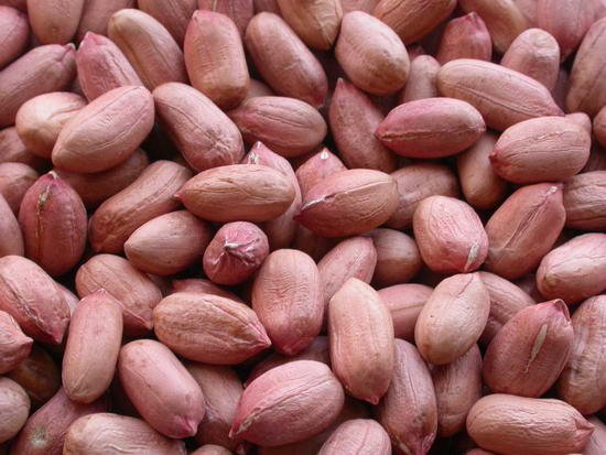 dried peanuts available now for sale