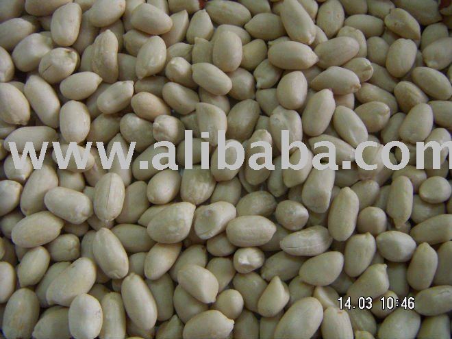Groundnut Kernels
