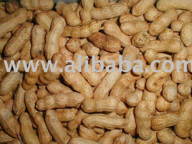 peanuts