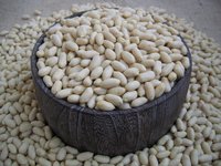Blanched Peanut Kernels available