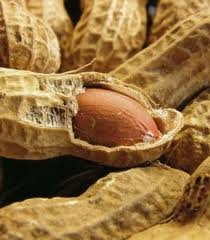 Peanuts