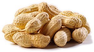  Shandong   Peanut  in  Shell 
