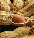 PEANUTS,PUMPKIN KERNELS,PINE NUTS AND OTHER NUTS AND KERNELS AVAILABLE FOR SALE