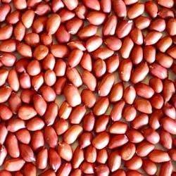 Groundnut for sale