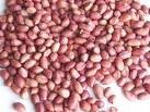 red skin peanuts