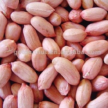 Peanut Or Garlic